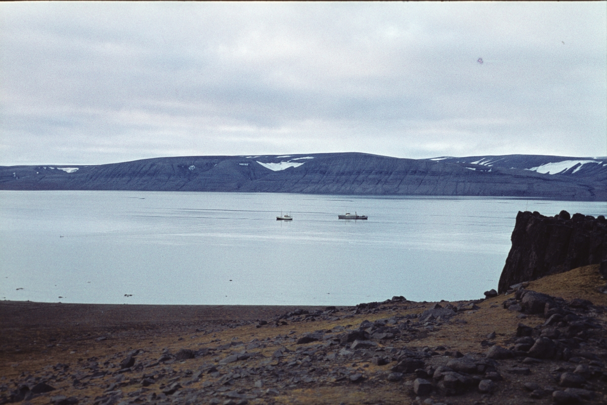 Barentsøya og Freemansundet i august 1960. M/S Norsel og M/S Nordsyssel på fjorden.