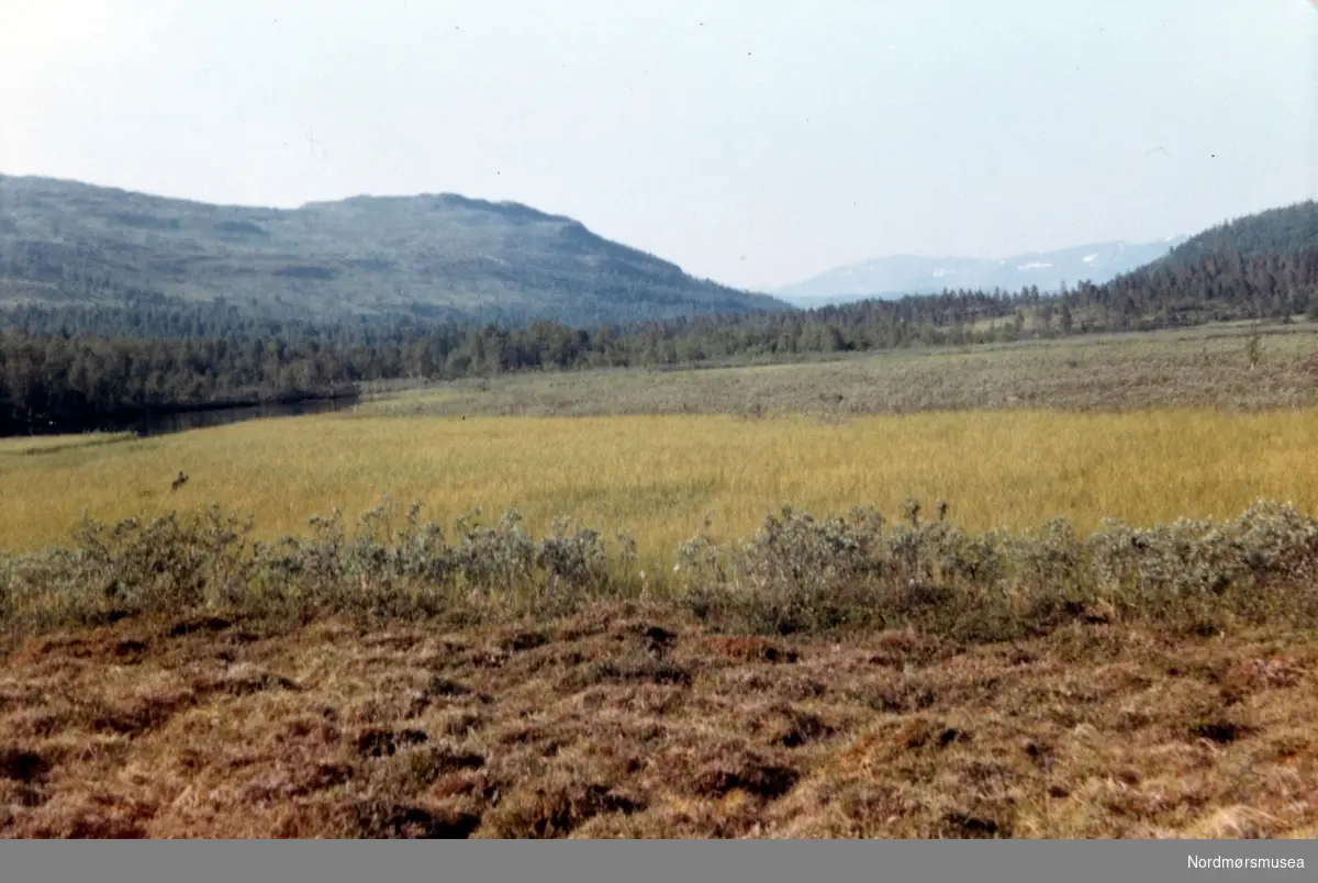 Kåsenmyra, Burfjord i Kvænangen. August 1969. Fra fotoalbumet ...