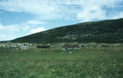 Mjovassdalen 1980
