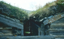 Mjovassdalen 1980