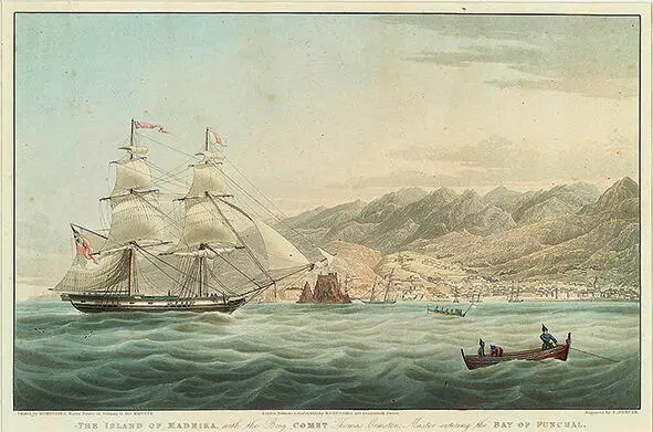 Maleri. Viser et stort seilskip og mindre båter rundt. I bakgrunnen ser man et landskap. Tittelen på maleriet er "The Island of Madeira with the Brig Comet Thomas Ormston Master entering the Bay of Funchal"