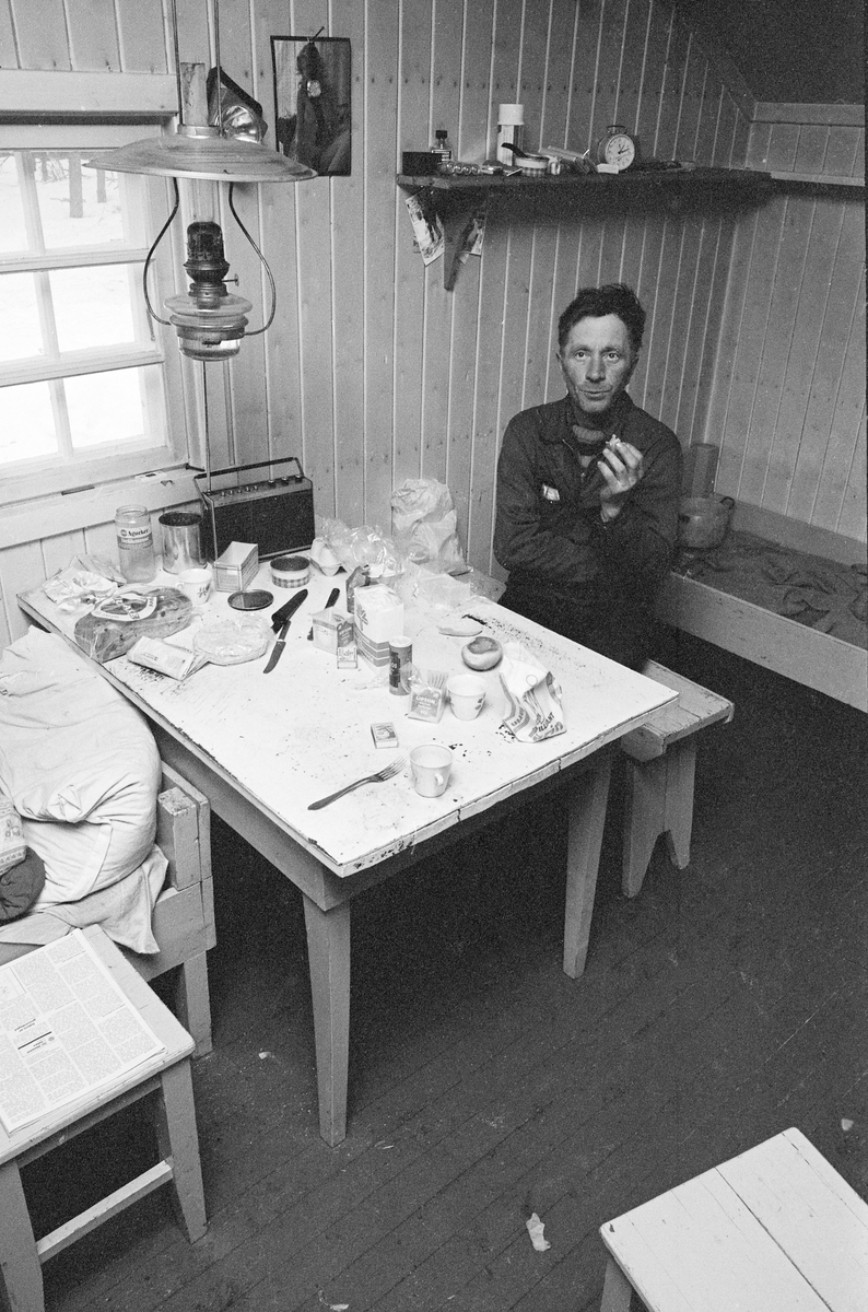 Kvilestund i Østlikoia i Løiten almenning (Løten allmenning) i februar 1977. Fotografiet er tatt inne i koierommet. Der satt Asmund Pedersen på en taburett ved spisebordet og koste seg med en bolle.