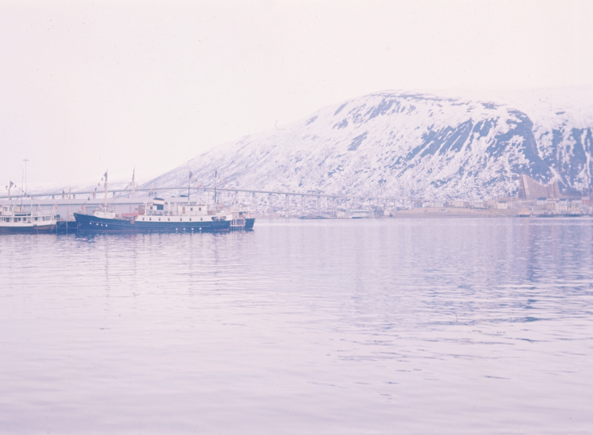 Skipene i Tromsø.