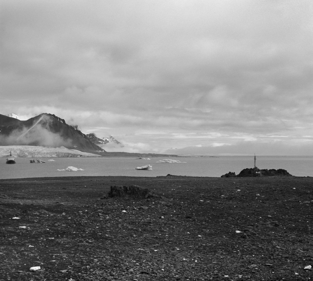 Utsikt fra Wilczekodden mot fjorden.