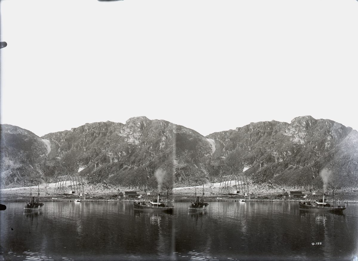 Stereofotografi. Utsyn over området på Danskeøya, der den amerikanske journalisten og oppdageren Walter Wellman hadde baser for sine forsøk på å nå polpunktet med luftskip mellom 1906 og 1909.