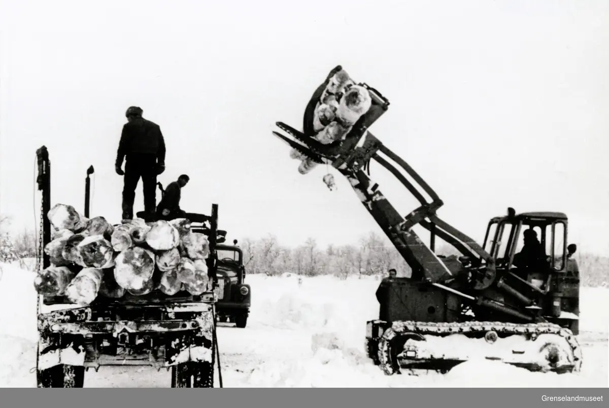 Tømmerdrift i Pasvik. En maskin løfter tømmer opp i en lastebil. En person opererer traktoren og to personer tar imot tømmeret. 