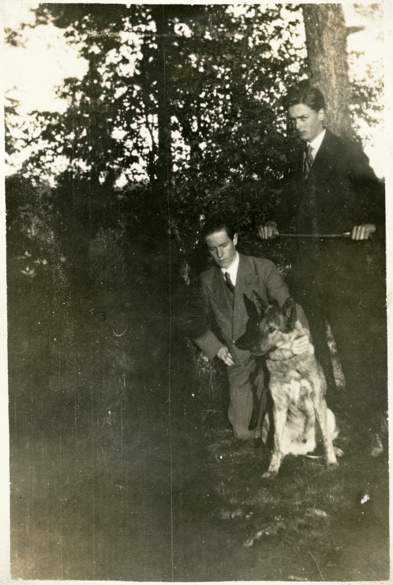 Två unga män och en hund