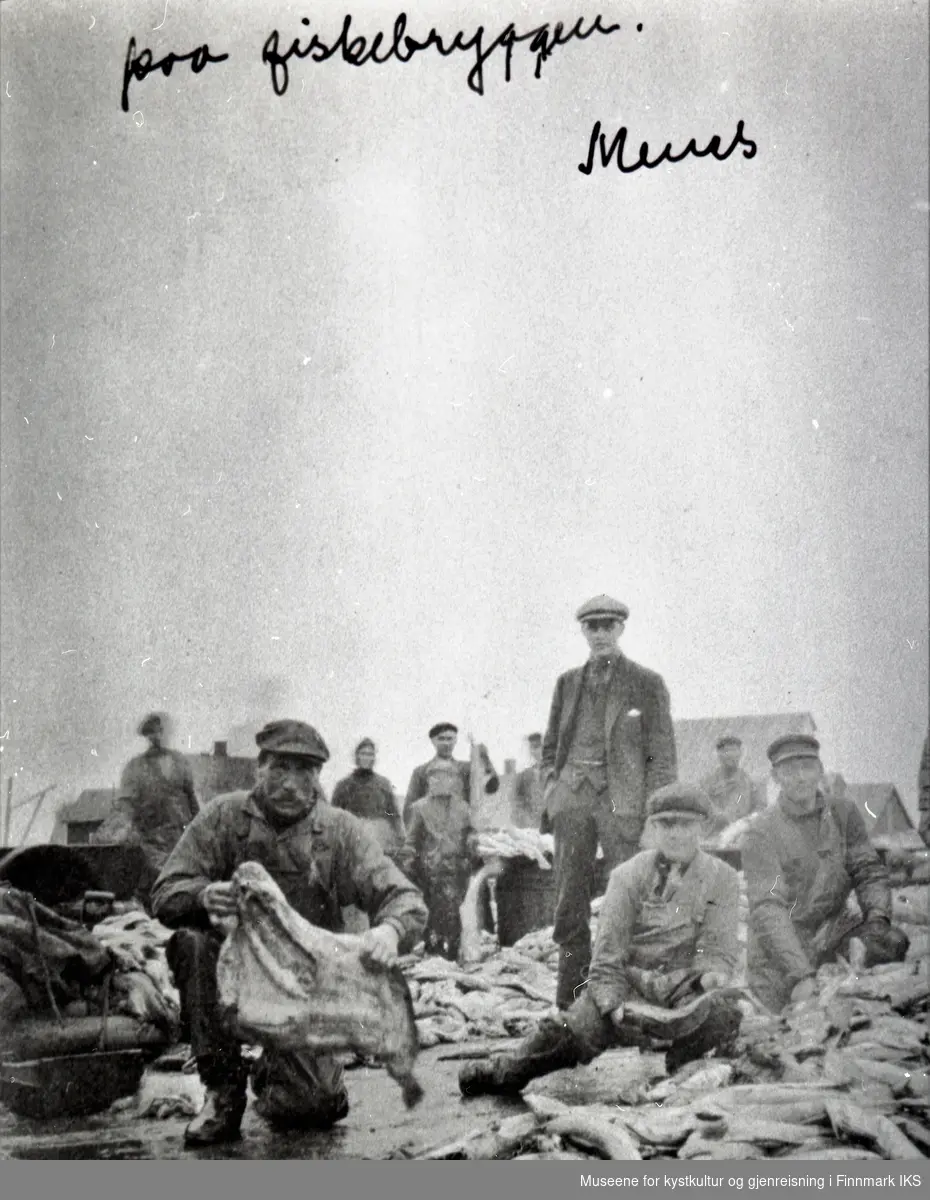 Honningsvåg. Arbeider med mye fisk på kaia ved fiskebryggen på Menes. 1889-1919.