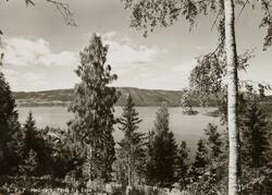 Postkort, Stange, Espa, utsikt mot Mjøsa,