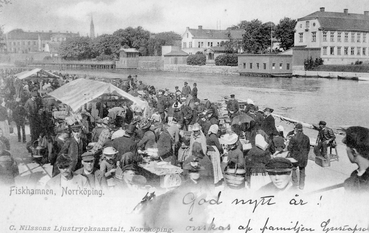 Livlig kommers vid fiskhamnen i Norrköping. I bakgrunden visar sig bebyggelsen i kvarteret Enväldet. Brevkort från tidigt 1900-tal.