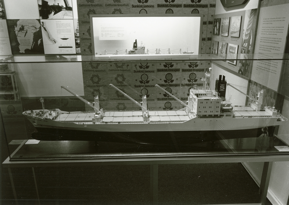 Sjöhistoriska museets permanenta utställning fotograferad 1987. Fartygsmodell av lastfartyget WINTER SEA. Del av utställningen som visar lastning och frakt av frukt.