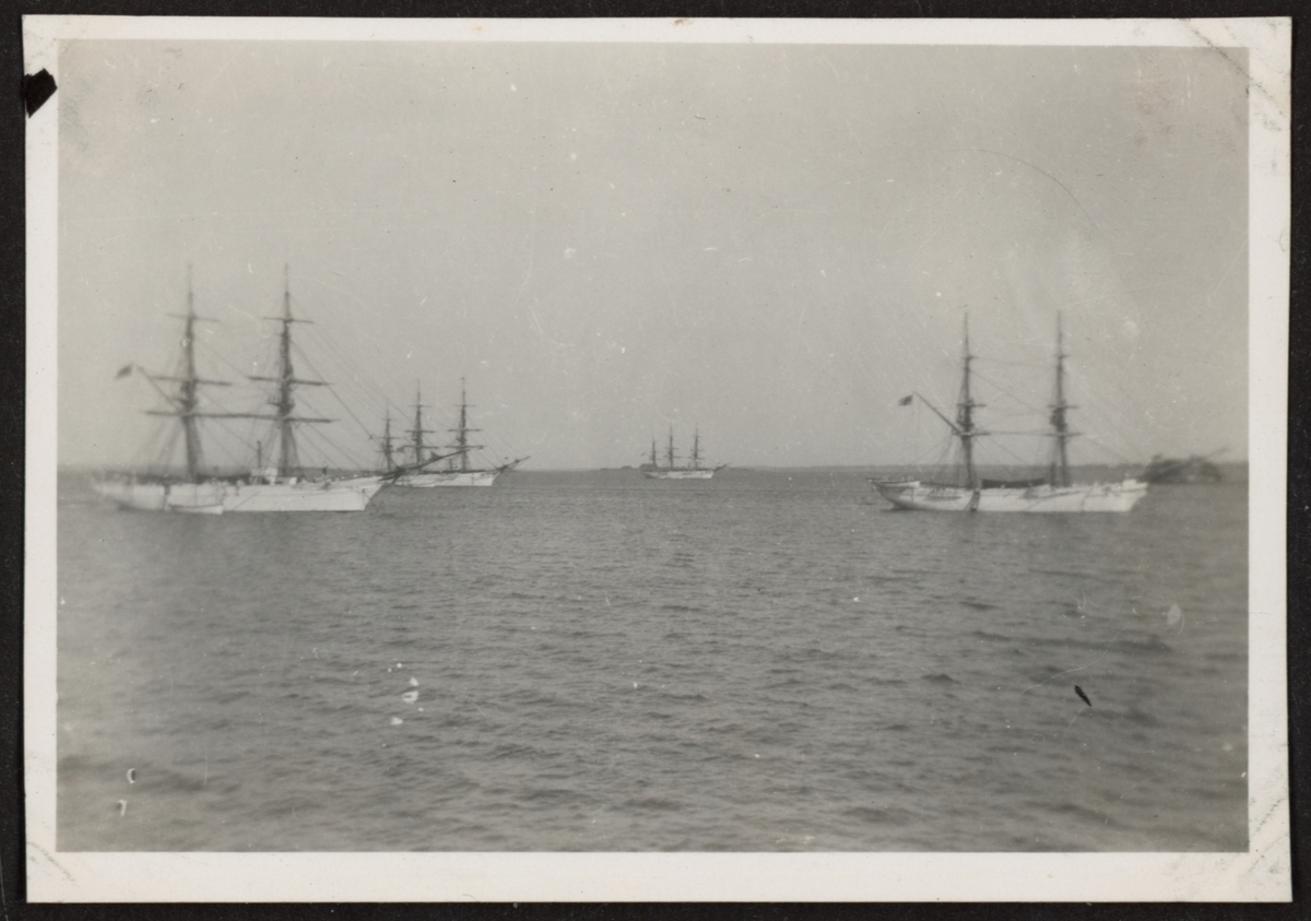 Bilden visar Marinens fyra skeppsgossefartyg till ankars på Karlskronas örlogsredd. I förgrunden ligger de två briggar Gladan och Falken, i bakgrunden de två fullriggare Jarramas och Najaden.