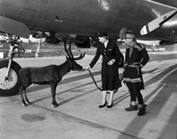 Kalle Karlstad og en flyvertinne står oppstilt ved SAS' DC-6