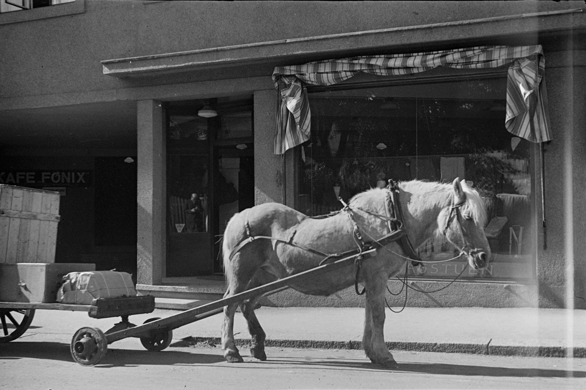 Hest med vogn foran Café Fønix og Einar Sagstuens forretning