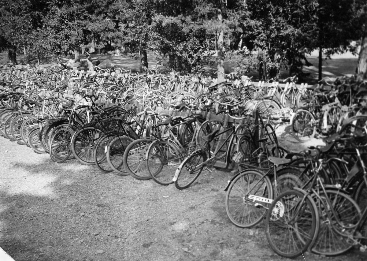 Cykelparkering. Bild från Optimus arkiv.