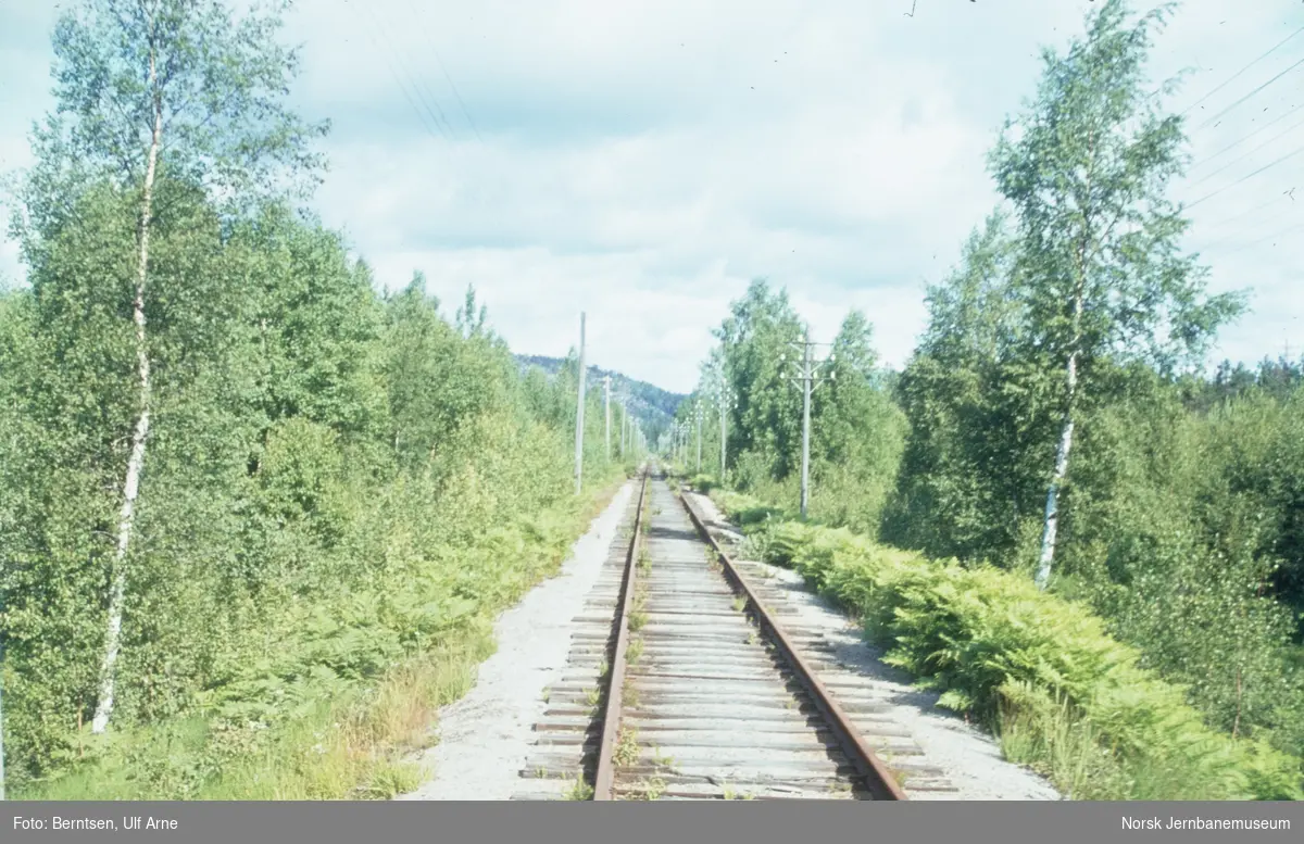 Med dresin på den nedlagte Treungenbanen, her i nærheten av Suplandsfoss holdeplass