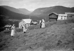Fotosamling etter Øystein O. Jonsjord (1895-1968)