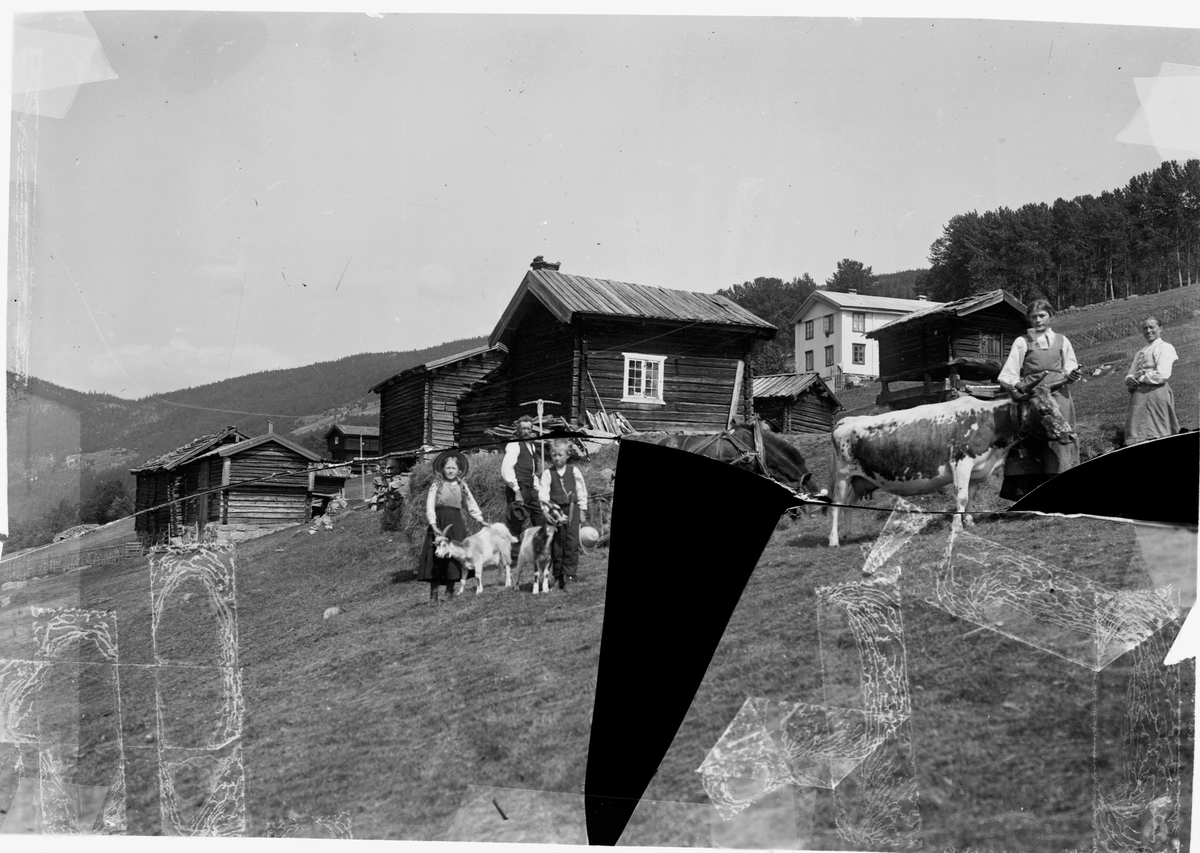 Bilde viser slåttonn på sud. Jonsjord ca. 1915

Fotosamling etter Øystein O. Jonsjords (1895-1968), Tinn.