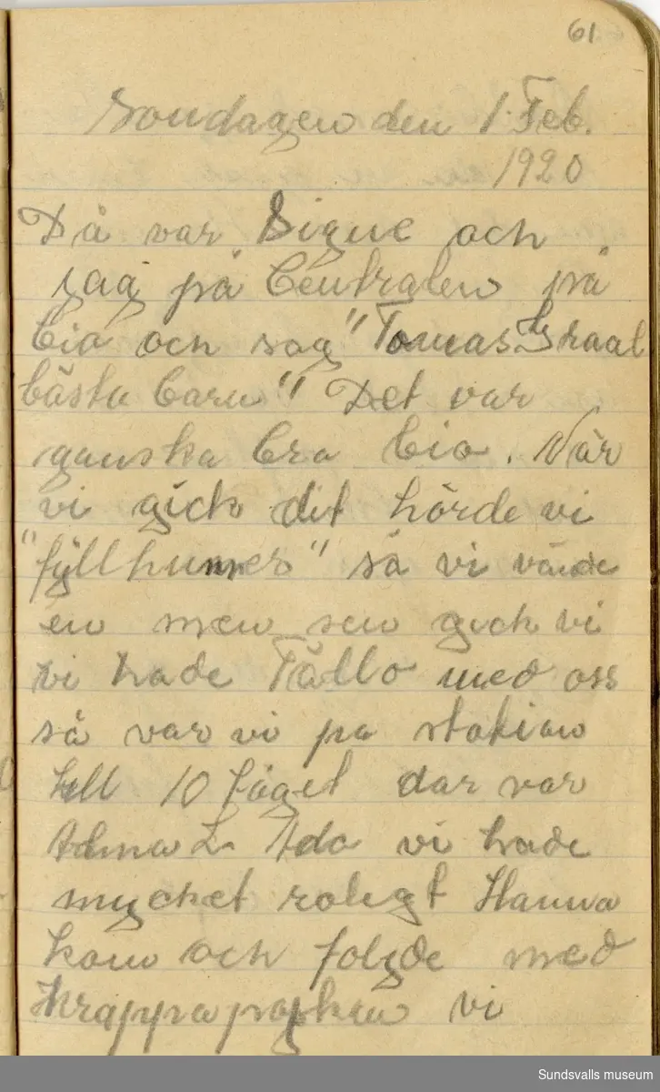 Anna Johansson föddes på en bondgård i Byn, Torp. Dagboken sträcker sig mellan åren 1919–1920. 
Dagboken, som är skriven under Annas ungdomsår, handlar bland annat om biobesök, samvaro med vänner och arbete hemma på gården. Flera visor är också nedtecknade i boken.