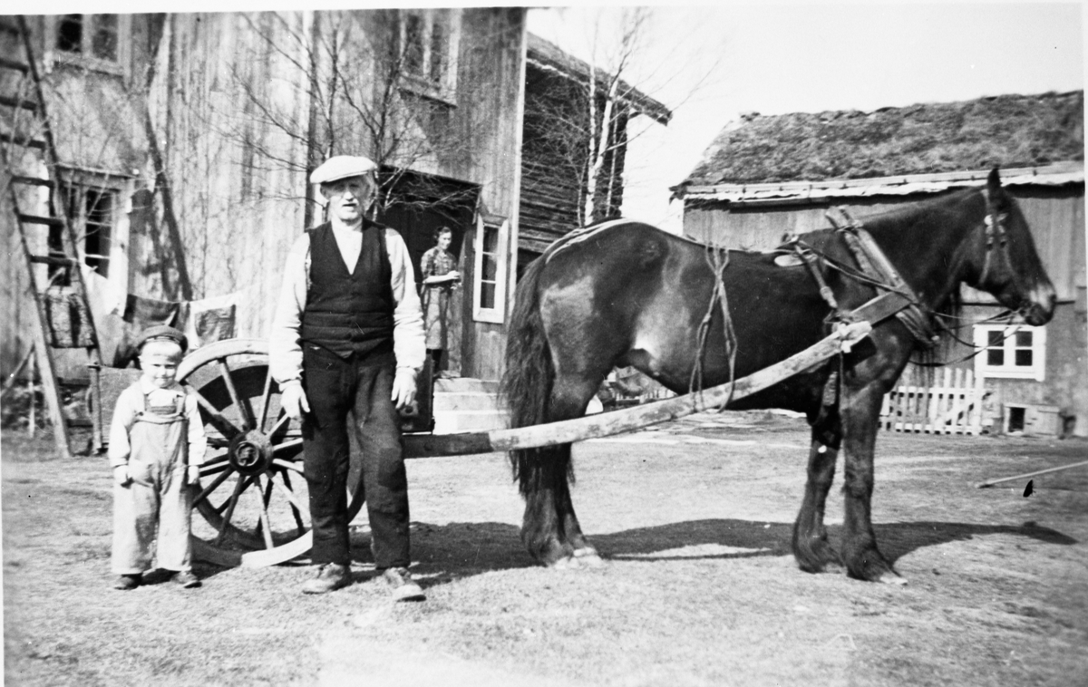 Hest med bikkvogn, mann og et lite barn på gårdstun på Nyplassen