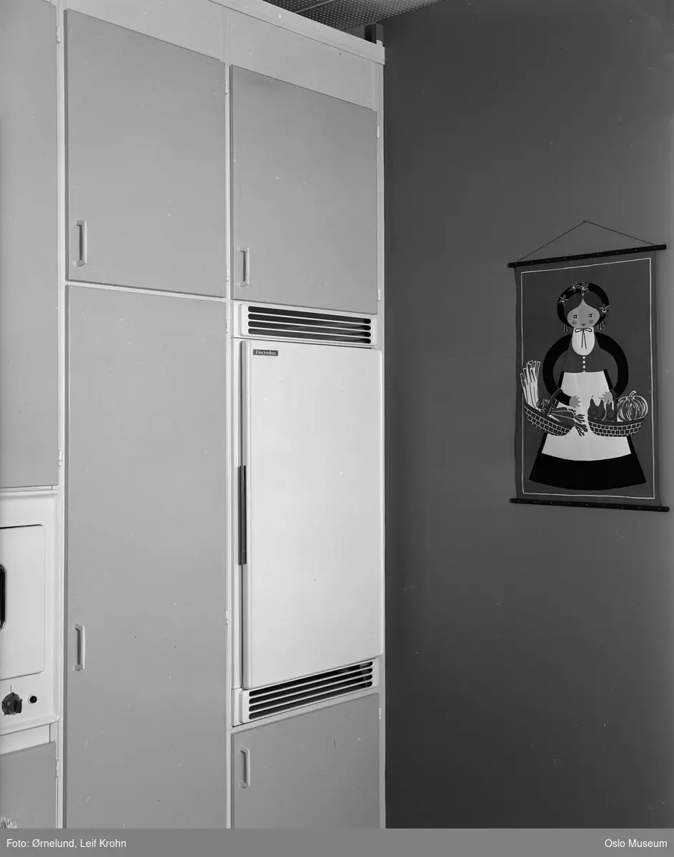Nordia kjøkken, innebygget Electrolux kjøleskap, kjøkkenskap, tekstilbilde på veggen