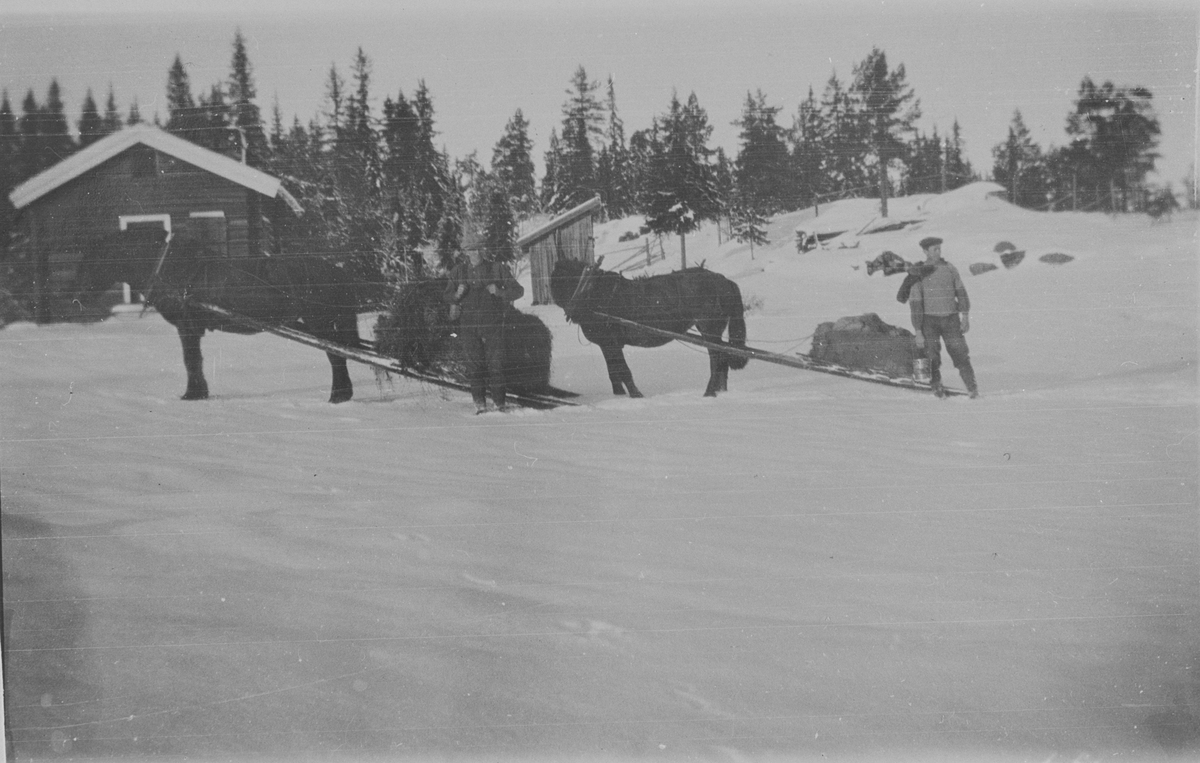 Høgsetra - kjøring av høy til tømmerkjøring på Hunstadsetra.
Kristoffer Hunstad til venstre og Per Åsland til høyre.