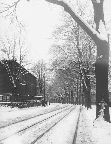 Prot: Drammensveien ved Bygdø Allé Vinter 8/2 1905 (feil i protokoll)