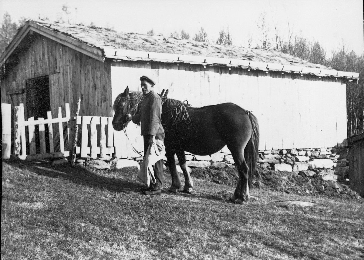 Mann med hest foran seterfjøs på Rihåvollen, nord for Rihåen