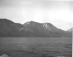 Prot: Advent Bay - Fjordparti 19/8 1909