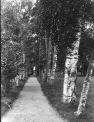 Prot: Eidsvold - Parken 6. Aug. 1903