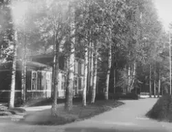 Prot: Modums Bad - Kontoret mellem Træer 10. Aug. 1903