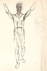 Anatomisk studie [Tegning]
