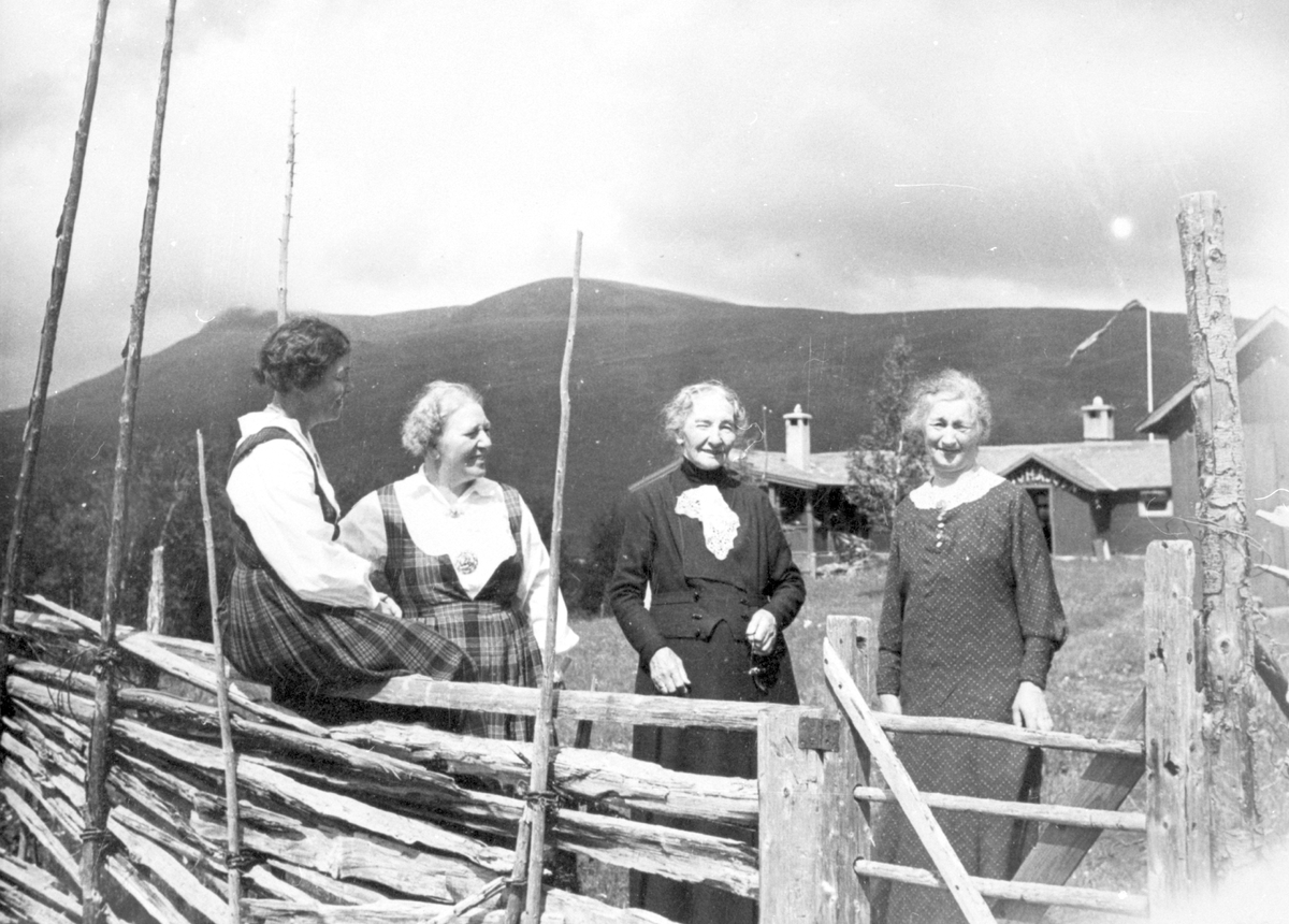 Flotte damer på hytta Lauvhaugen eigar Olav Semeleng .