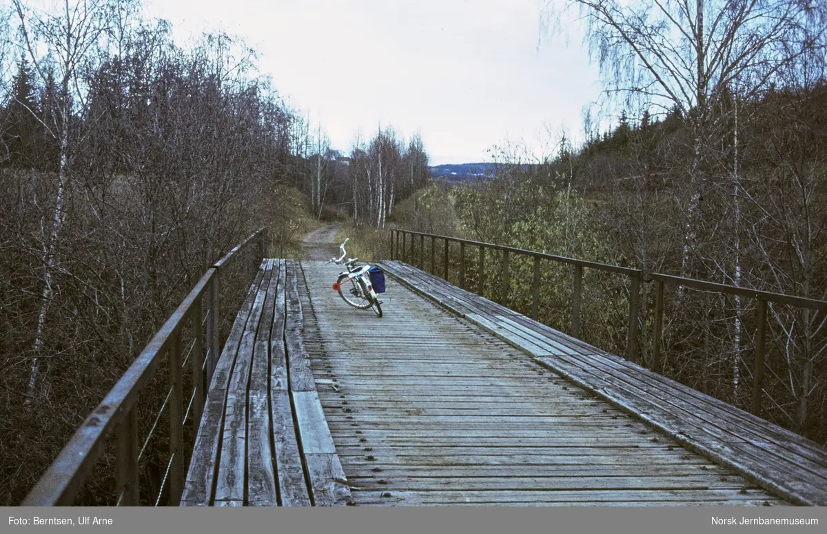 Augedalselva bru på nedlagte Røykenvikbanen