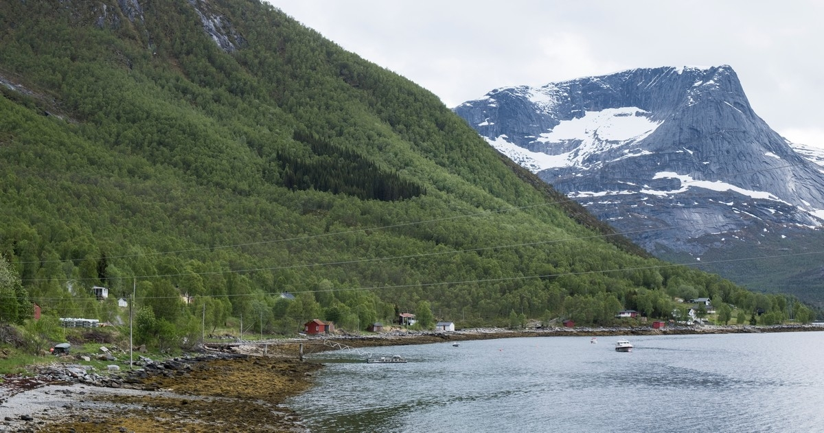 Forsaa i Efjord i Narvik kommune.