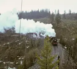 Damplokomotiv 24b 236 med veterantog mellom Høgberget og Ton