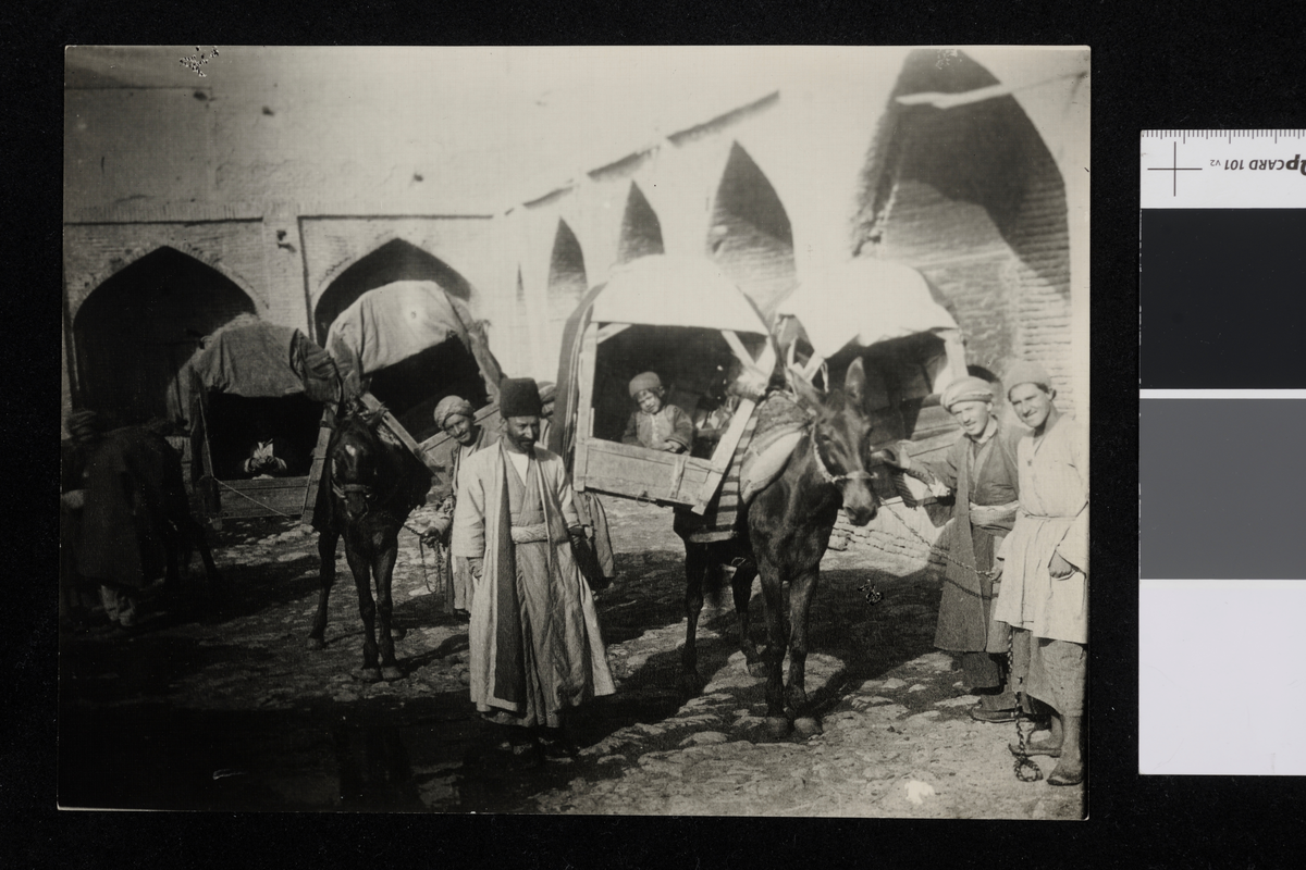 Muldyr brukt til tranport av mennesker. Fotografi tatt av/ samlet inn av Elisabeth Meyer fra reise til Iran 1929.