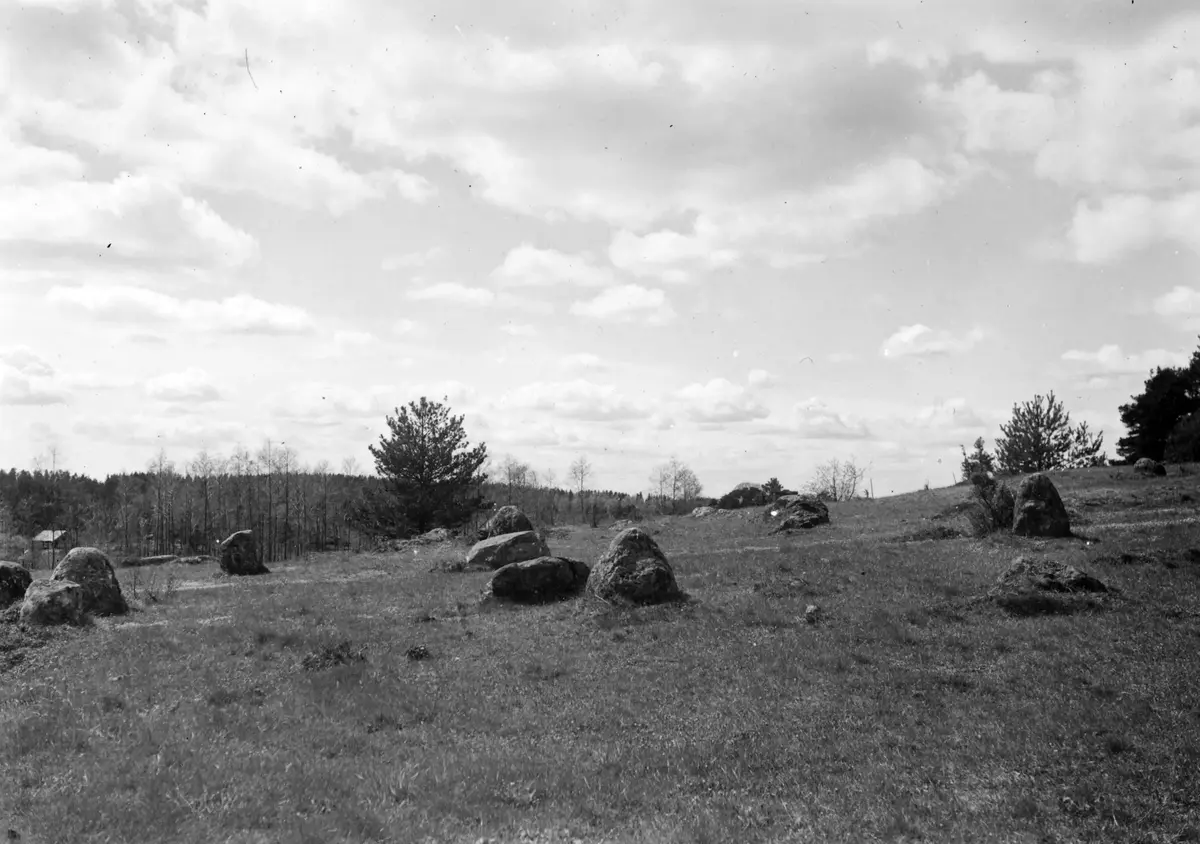 Nr 109:48. Domarring på gravfält vid Viads ladugård. Foto från NÖ.