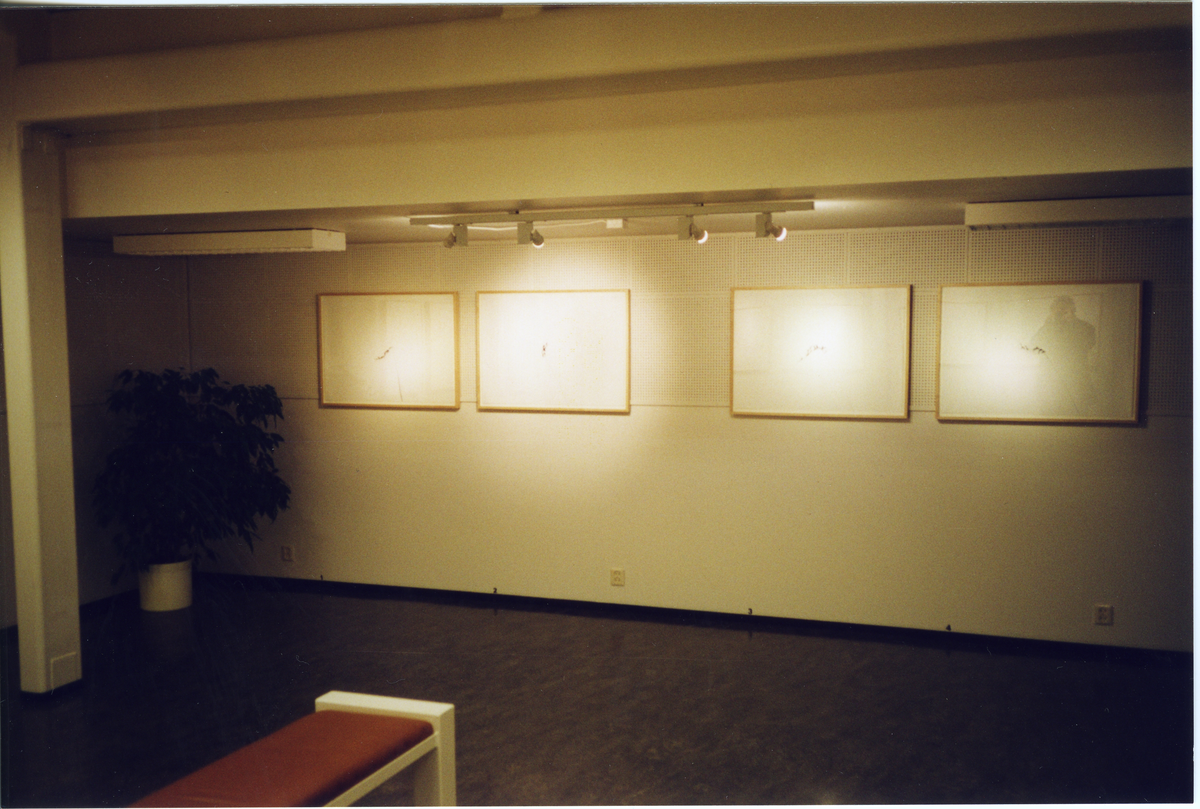 Utstilling
Del av utstillingen &quot¤Tegn&quot¤  på Hallingdal Museum.  Det er Jan Groth som er kunstneren.
