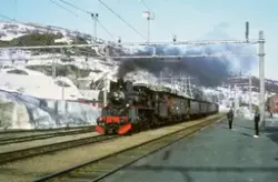 Damplokomotiv 26c 411 med veterantog på Haugastøl stasjon