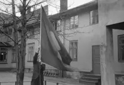 Bondeflagget i bakgården hos Fotograf Schrøder for Bygdeungd