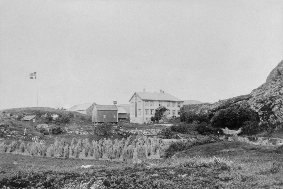 Prospektbilde : gården Balsnes på Sandstad, Hitra, ca. 1920
