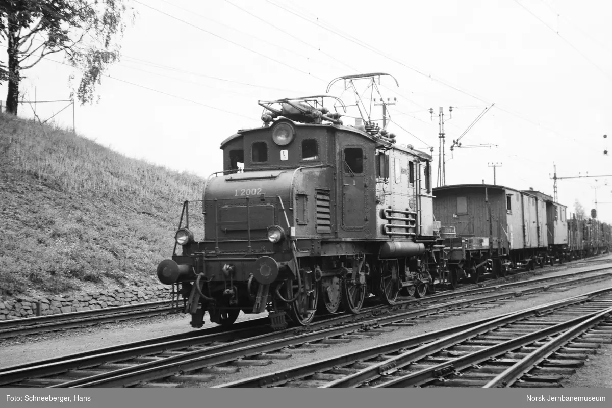 Elektrisk lokomotiv El 1 nr. 2002 med godstog på Sundland ved Drammen