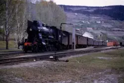 Damplokomotiv 30b 353 med hurtigtog til Trondheim, tog 401, 