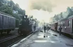 Damplokomotiv 26c 411 med veterantog på Arendal stasjon