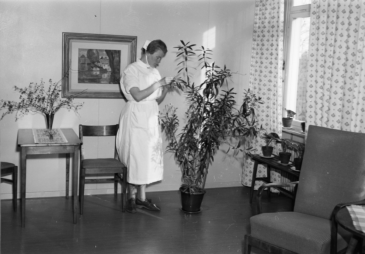"Sanatoriet - nytt hus för långliggare", Akademiska sjukhuset, Uppsala 1952