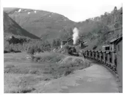 Sulitjelmabanens damplokomotiv "SULITELMA" med kistog ved Sj