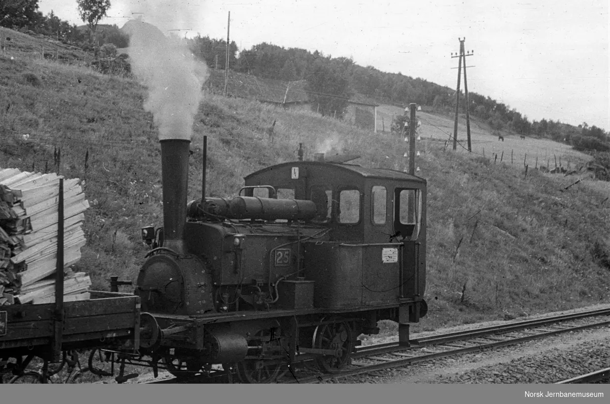 Damplokomotiv type 7a nr. 25 i Egersund