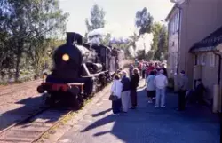Damplokomotiv 24b nr. 236 med veterantog på Veggli stasjon
