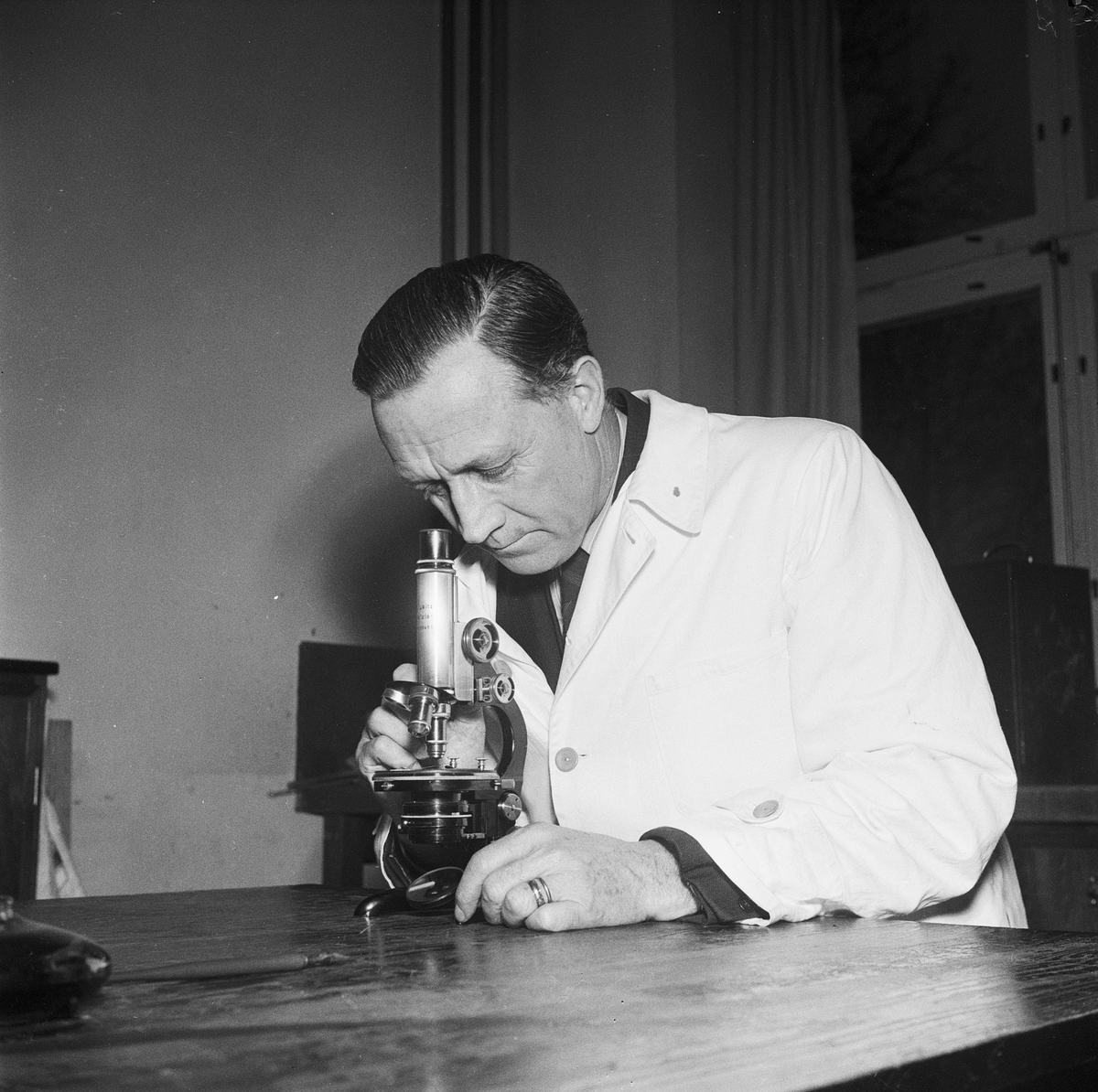 Ivar Johansson vid mikroskop, Ultuna, Uppsala 1950